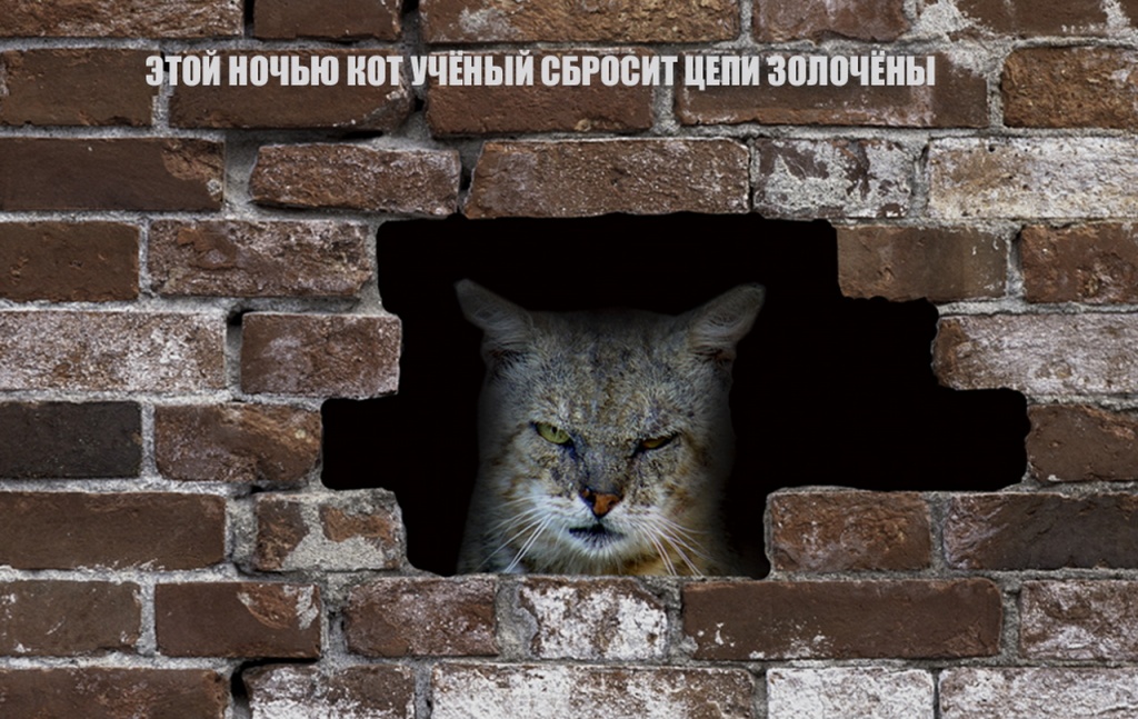 МЕЖЛОКАЛЬНАЯ КОНТРАБАНДА - 2