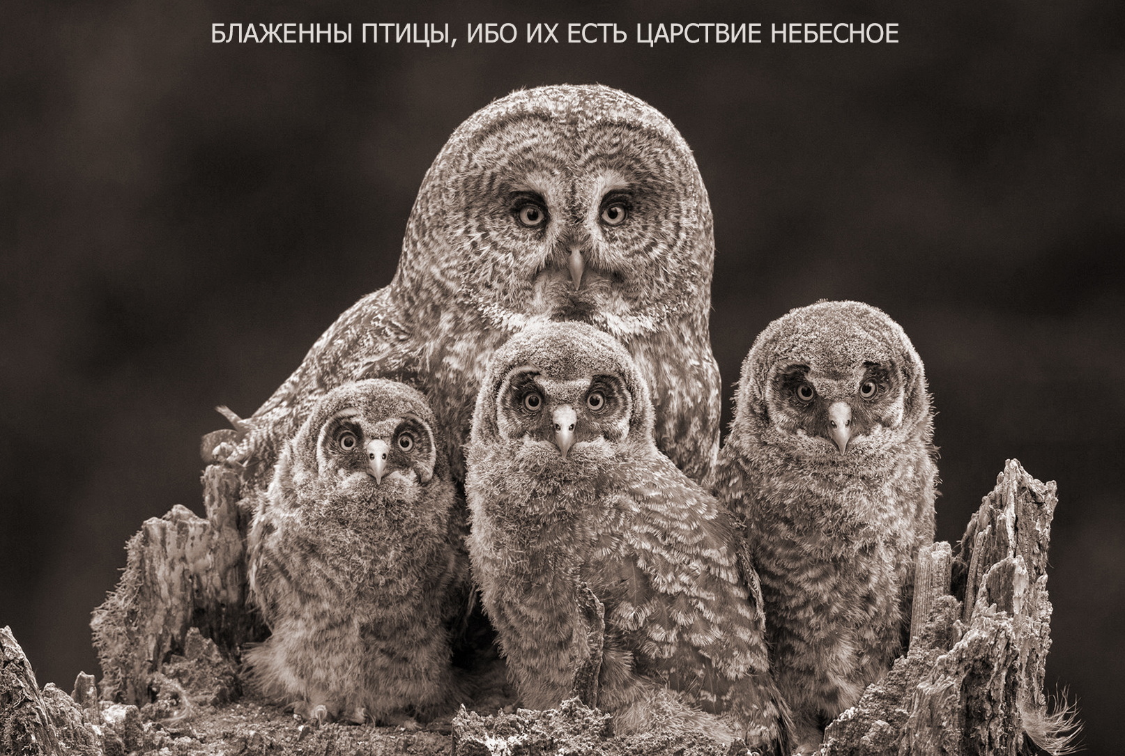 МЕЖЛОКАЛЬНАЯ КОНТРАБАНДА - 2