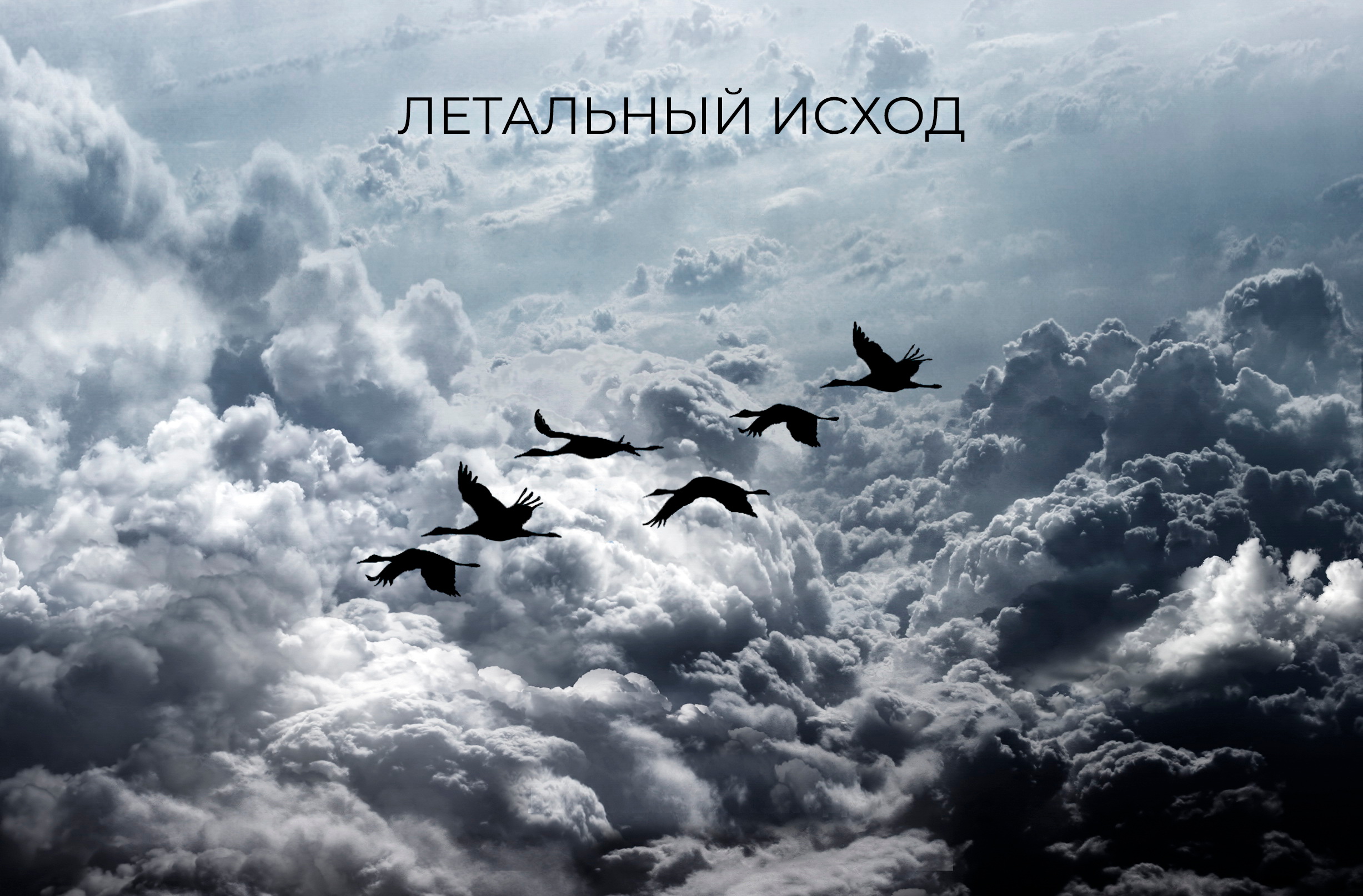 МЕЖЛОКАЛЬНАЯ КОНТРАБАНДА - 2