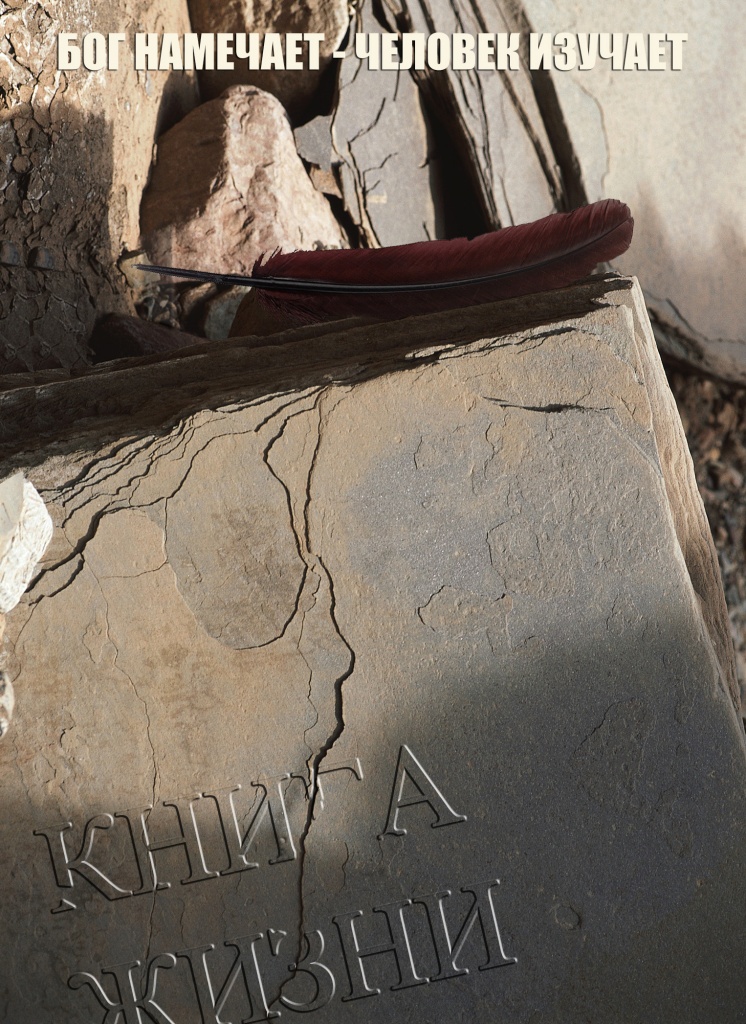 МЕЖЛОКАЛЬНАЯ КОНТРАБАНДА - 2